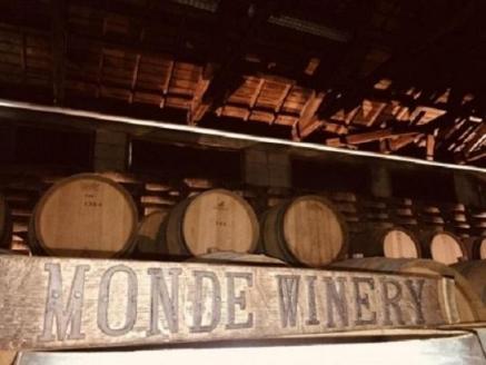 プティモンテリア スパークリング 290ml×24本 FAE006