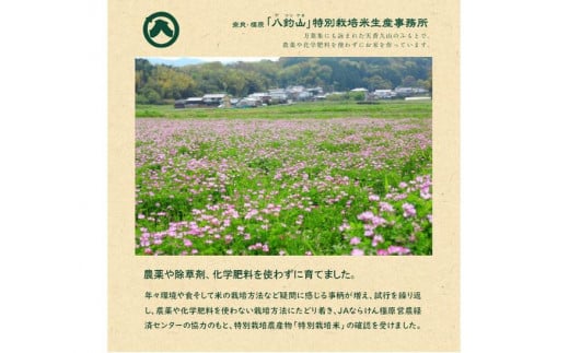 【新米】奈良・橿原　農薬や化学肥料不使用【令和7年産】ヒノヒカリ【精白米】約5kg（5kg×1袋）