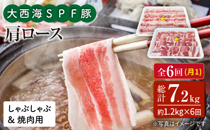 【月1回1.2kg×6回定期便】大西海SPF豚 肩ロース（焼肉＆しゃぶしゃぶ用） 訳あり ＜大西海ファーム＞ [CEK089]
