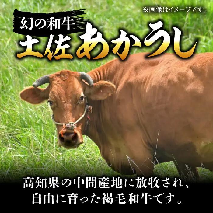 エイジング工法 熟成肉 土佐あかうし 特選赤身 ブロック 約500g 冷凍 【株式会社LATERAL】 [ATAY011]