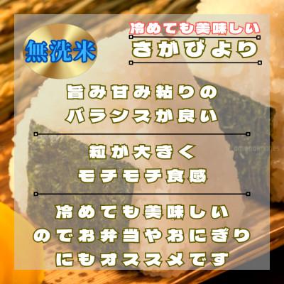 ふるさと納税 鳥栖市 【毎月定期便】【無洗米】さがびより6kg(3kg×2袋)(鳥栖市)全3回 |  | 01