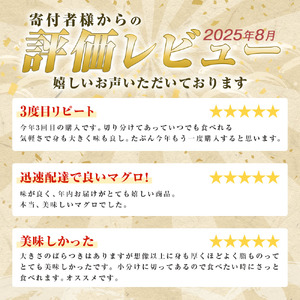 天然マグロ切り落とし 600g 刺身【天然マグロ切り落とし】