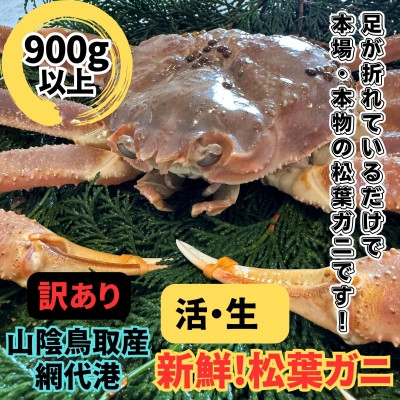 
                  ＜さかなや新鮮組＞鳥取県産 訳あり 活松葉ガニ(900g以上) 1枚 漁港直送【1759523】
                