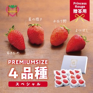 いちご4品種スペシャルセット　いちご