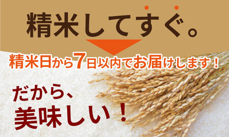 佐賀ブランド米 さがびより （20kg）　肥前糧食 D480-001