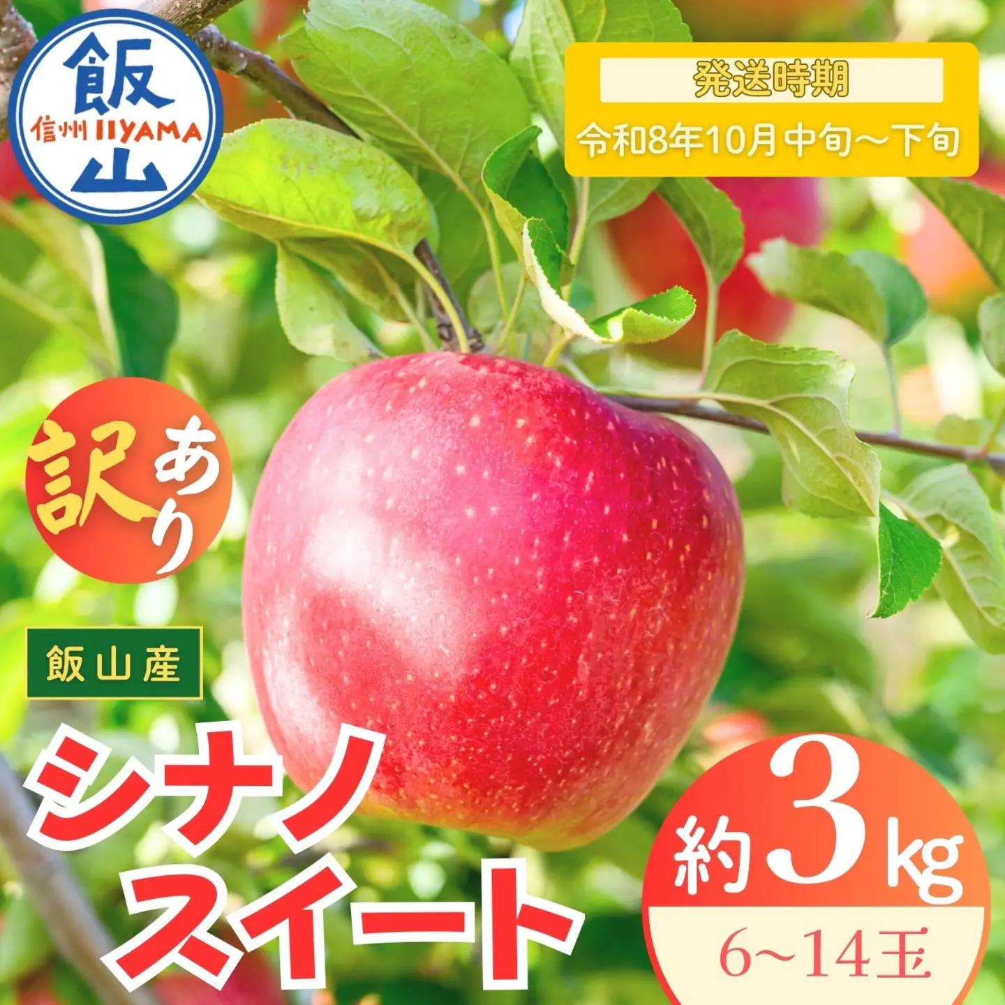 【訳あり】りんご シナノスイート 約3kg（6～14玉）2026年10月中旬より発送 先行予約 | リンゴ At-020