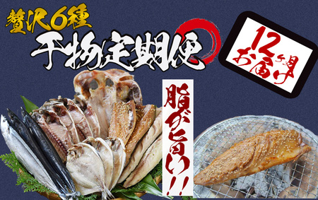 湯の花　干物セット1年間の定期便　　　　干物 ひもの 干物 ひもの 干物 ひもの 干物 ひもの 干物 ひもの 干物 ひもの 干物 ひもの 干物 ひもの 干物 ひもの 干物 ひもの 干物 ひもの 干物 ひもの 干物 ひもの 干物 ひもの 干物 ひもの 干物 ひもの 干物 ひもの 干物 ひもの 干物 ひもの 干物 ひもの 干物 ひもの 干物 ひもの 干物 ひもの 干物 ひもの 干物 ひもの 干物 ひもの 干物 ひもの 干物 ひもの 干物 ひもの 干物 ひもの 干物 ひもの 干物 ひもの 干物 ひもの 干物 ひも