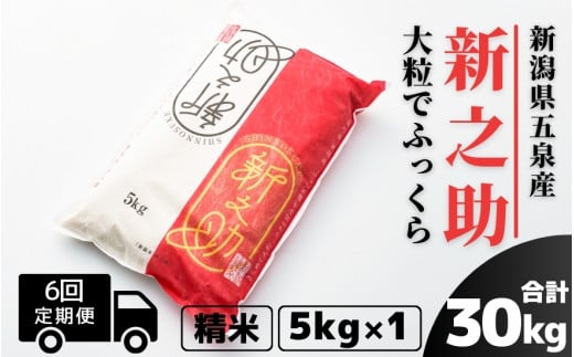 【令和7年産新米】 〈6回定期便〉 新之助 精米 5kg（5kg×1袋） 新潟県 五泉市 有限会社ファームみなみの郷