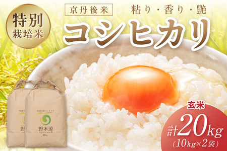 2025年産 京丹後米 特別栽培米コシヒカリ 20kg（玄米）