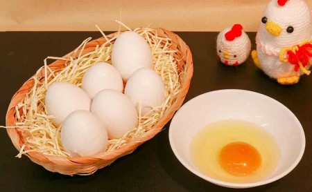 かすてらハーフサイズ3本セット箱入