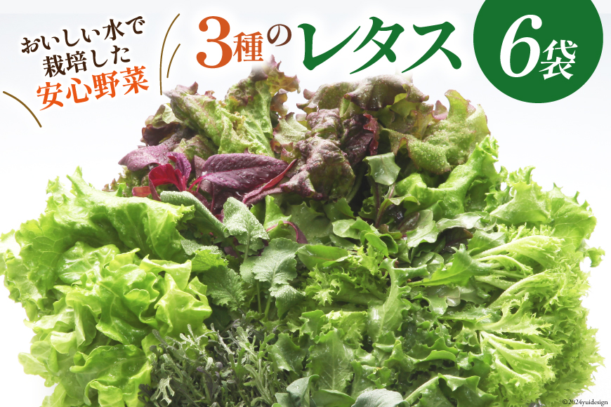 富山のおいしい水で生産した安心野菜（6袋） [北陸機材 富山県 舟橋村 57050100] 野菜 野菜セット フラワーリーフ フリルレタス マルチレタス 水耕栽培