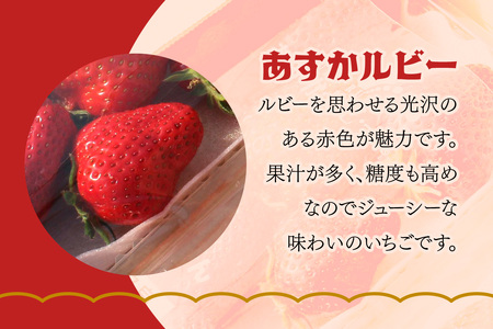 [3月4日から5月11日] いちご狩り体験 子供1名様 奈良のブランド (あすかルビー)｜イチゴ農園 果物 フルーツ 親子 体験チケット いちご狩り農園 奈良県 [3054]