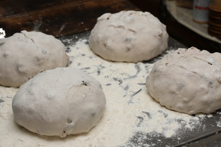 【定期便／3回】イチジク入り☆限定！贅沢パン 天然酵母 パン ワインとの相性抜群 レーズン くるみ フィグ レザン どっしり きめが細かい ハードパン 自家製酵母 480g×2個を3回連続でお届け！