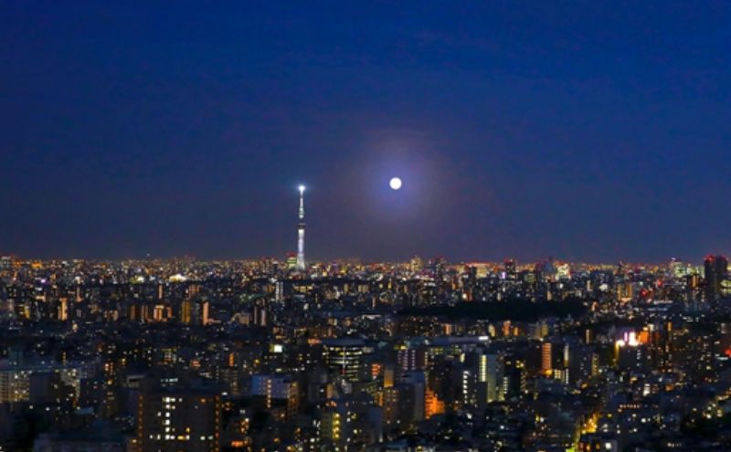 宿泊券 サンシャインシティ プリンスホテル パノラマフロア ツインルームA 1泊 朝食付き 宿泊ご招待券(1室2名さま)  ホテル チケット ペア 池袋 高層階 夜景 旅行 クーポン ホテル券 ギフト