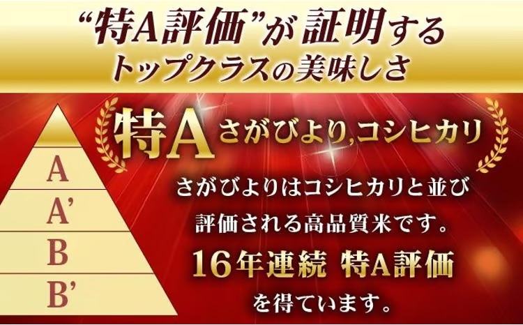 《最短(3～5営業日)発送》令和7年産 さがびより 佐賀県産（精米）15kg E-307-AS