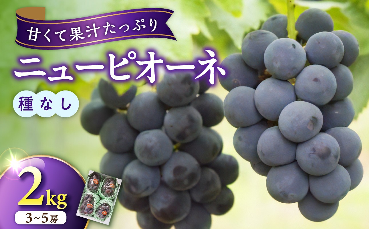 
                  【選べる配送年】岡山県産ニューピオーネ　秀品　約2kg（3～5房程度）【ニューピオーネ フルーツ 果物 くだもの 葡萄 ぶどう 岡山県産 秀品 2026年 2027年 令和8年 令和9年 先行受付 先行予約】
                