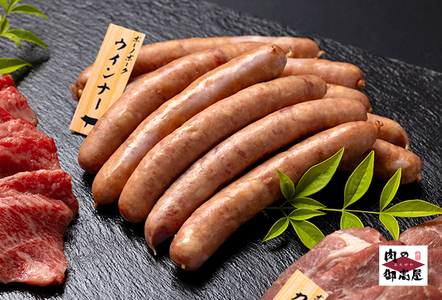 【冷蔵配送】飛騨牛・ボーノポーク・ウインナー 焼肉用食べ比べセット 2～3人分【1.65kg】