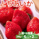 【ふるさと納税】【選べる容量】いちご とちあいか 平積み 約290g×2パック もしくは 4パック | 新品種完熟 果物 苺 イチゴ フルーツ くだもの もぎたて 栃木県 壬生町 ※2025年1月上旬～3月中旬頃に順次発送予定