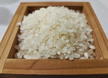 【12月発送】令和7年産　三重県大紀町産コシヒカリ精米5kg ／ 精米 したてを 直送 ！ 新鮮 なお米を食卓へ San Farm Taiki コシヒカリ 三重県 大紀町