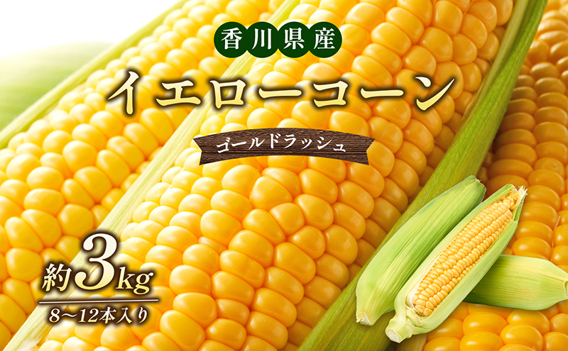 
            [№4631-1934]イエローコーン 　約3kg 野菜 とうもろこし 野菜セット
          