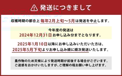 【竹田市産】高原トマト 4kg (約16～24個) 【ベジスタとまとちゃん】【2025年5月下旬-2026年1月上旬発送予定】