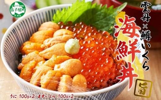 
                  3620. うに チリ産 冷凍 200g 鱒いくら醤油漬け 200g 計400g セット ウニ 雲丹 ますいくら 鱒 イクラ いくら いくら醤油漬け 海鮮 海鮮丼 北海道 弟子屈町
                