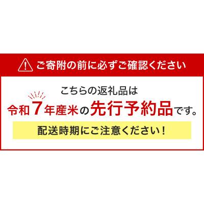 ふるさと納税 東川町 【R7年産新米先行予約】東川米ななつぼし「白米」10kg(10月末発送)【21001006-r7】 |  | 01