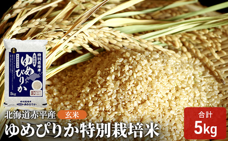 ゆめぴりか玄米特別栽培米 北海道産 ゆめぴりか【5kg】