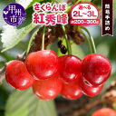 【ふるさと納税】 さくらんぼ 紅秀峰 簡易手詰め 選べる内容量 約200g～約300g 2L～3L 大粒 甘い 高糖度 糖度20度 果物 フルーツ チェリー 山梨県産 甲州市産 旬 人気 ギフト 2025年発送 （DOM）