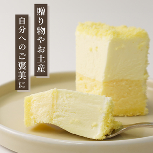 二層の贅沢チーズケーキ チーズケーキ チーズケーキ チーズケーキ J88_02