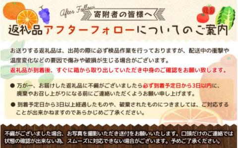 【全3回】旬のフルーツ定期便 【田村みかん 紀州デコ(不知火) 桃】 和歌山の旬をお届け【tkb313】