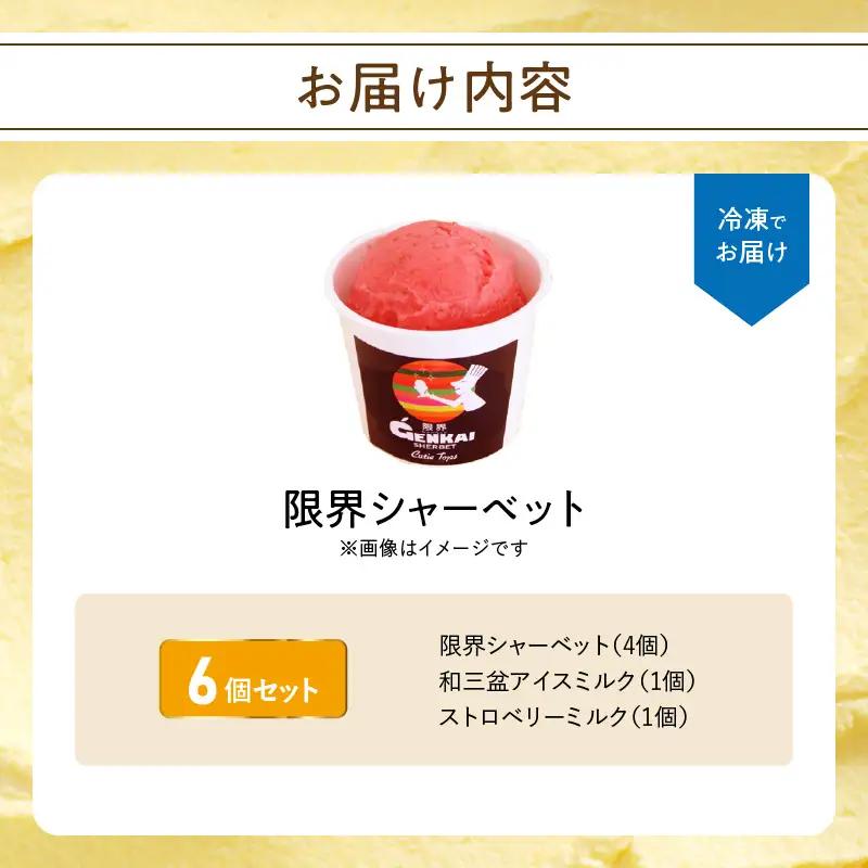【お中元ギフト】 限界シャーベット 6個セット ≪7/1～8/9の期間に発送≫