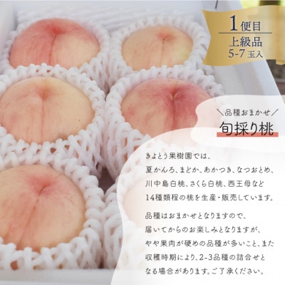 【発送月固定定期便】【きよとうファーム】岡山の桃、ぶどう、梨を産地直送!多品種を楽しむ定期便全3回【配送不可地域：離島】