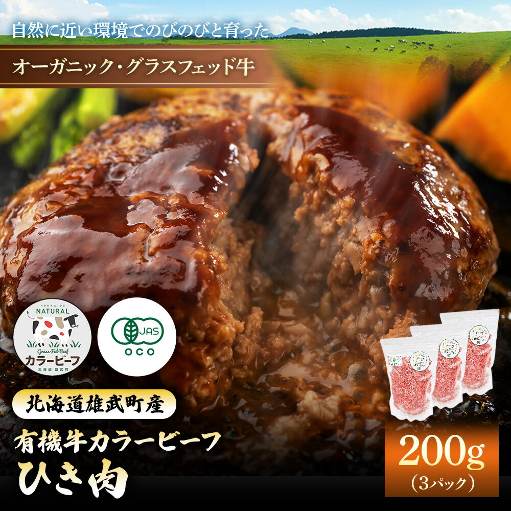 【ふるさと納税】雄武産有機牛カラービーフ ひき肉（200gx3P） | 牛肉 国産牛 オーガニック グラスフェッド 有機JAS認定牧草使用 大自然 オホーツク 有機畜産牛 有機牧草 放牧 オーガニック牧草 冷凍 雄武町観光協会 北海道 雄武町 雄武【01132】