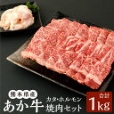 【ふるさと納税】熊本県産 あか牛赤身焼肉セット（カタ 700g・ホルモン 300g） 合計1kg あか牛 赤牛 和牛 くまもとあか牛 赤身 焼き肉 カタ ホルモン 牛 牛肉 肉 お肉 セット 詰合せ 冷凍 国産 九州 熊本県 菊陽町 送料無料