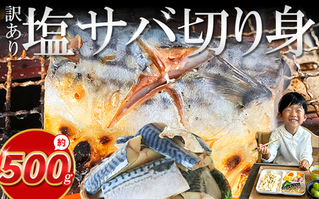 訳あり塩サバ 切り身 約500g さばさばさばさばさばさば