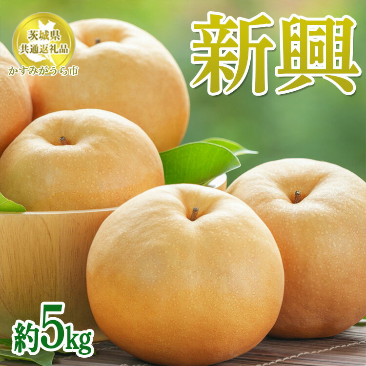 【ふるさと納税】【先行予約限定】 茨城県産【新興梨】約5kg【茨城県共通返礼品　かすみがうら市産】※2025年10月中旬～12月下旬頃に順次発送予定 ※離島への配送不可