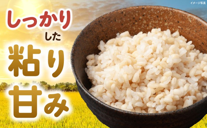 滋賀県 ミルキークイーン 玄米 10kg げんまい コメ 米 お米 みるきーくいーん 人気 おすすめ 特別栽培米 ごはん ご飯