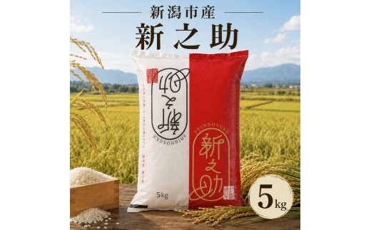 【先行予約】令和8年産 新潟県産 新之助 5kg 米 精米 白米 こめ コメ お米 おこめ 新潟 新潟県