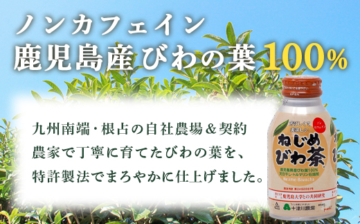 『ねじめびわ茶』ボトル缶【3ケース】（24本入り×3箱）TO-408