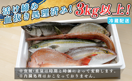 鮮魚 3kg～ 鮮魚ボックス 詰め合わせ 刺身 刺し身 さしみ 鮮度抜群 産地直送 高知県産