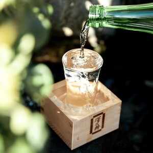 日本酒 小澤酒造 澤乃井 生酛純米大吟醸武陽720ml1本/ワイングラスでおいしい日本酒アワード受賞 純米大吟醸 生酛造り 山田錦 精米歩合35%  酒 セット こだわり 家飲み 晩酌 米麴 華やか 