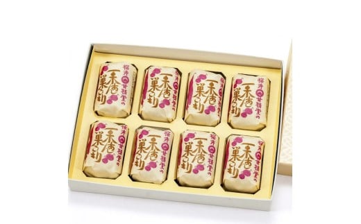 桜井甘精堂 の 栗あん 巣ごもり 8個入 | 和菓子 お菓子 お茶請け 餡子 和風 スイーツ お土産 贈り物 長野県 飯田市 信州