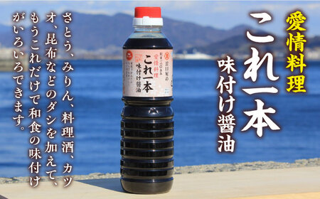 味付け醤油 500mL×5本 濱口醤油[XAA048]