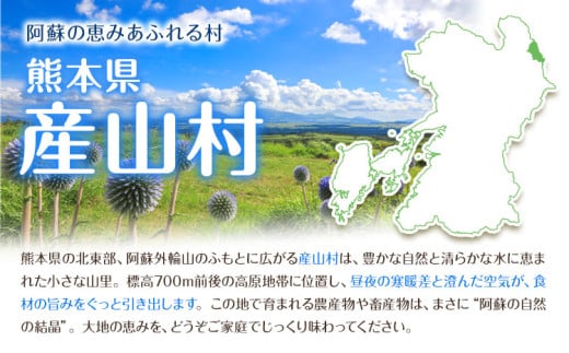 ＼食べ比べのセット／大容量 鶏肉 熊本県産 若鶏むね肉 約2kg/もも肉 約2kg 各1袋 たっぷり大満足！計4kg！《1月中旬-2月末頃出荷》モモ肉 モモ 若鶏モモ 鶏モモ ムネ 鶏ムネ ムネ肉 若