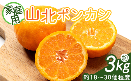 ポンカン 3kg 訳あり 先行受付 山北ぽんかん yk-0082