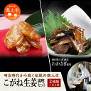 【ふるさと納税】 佃煮 詰め合わせ 2種類 こがね生姜 わかさぎ ご飯のお供 老舗 お茶漬け 秋田 つくだ煮 つくだに しょうが おつまみ 珍味 小袋 酒の肴 つまみ ツマミ わかさぎ ワカサギ グルメ 人気 おすすめ 潟上市 訳あり 【佐藤徳太郎商店】