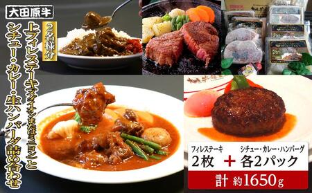 【2名様分】 大田原牛 上フィレ ステーキ 2枚（メダイオンまたはミニヨン）とシチュー・カレー・生ハンバーグ各2パックの詰め合わせ | ブランド牛 和牛 牛肉  高級 ヒレ ステーキ ハンバーグ カレーライス ビーフシチュー