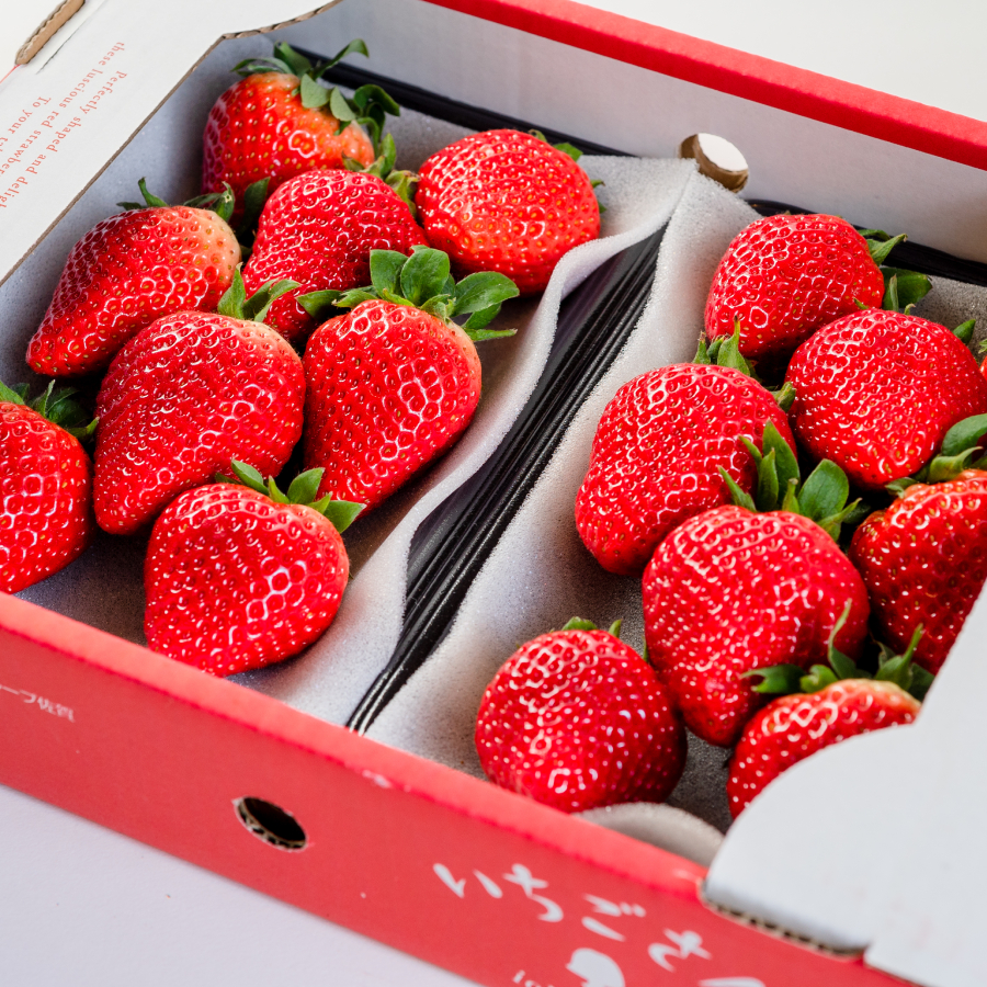 ＜岩田屋本店・南国フルーツ＞佐賀のいちご・いちごさん4パック