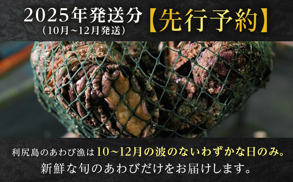 利尻島産 直送！天然 生えぞあわび１kg 鮑 海鮮 冷蔵 お刺身 魚介 お祝い【福士水産】